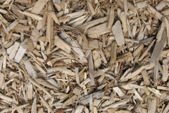 biomass boilers Tythegston